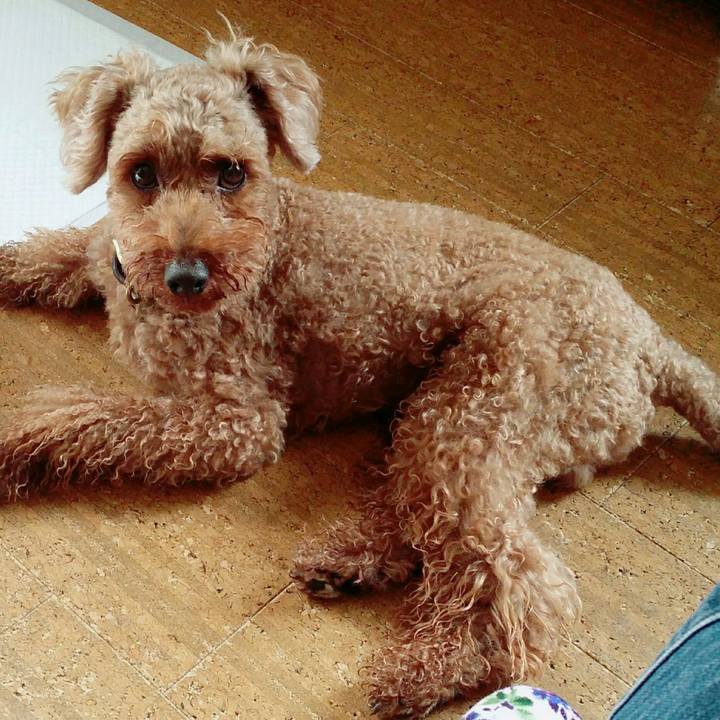 Ca772275 af0a 4c57 8ed0 b96cd3465668