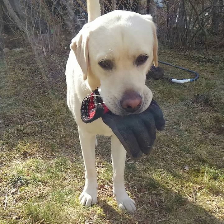 Ca7795f2 2f82 42d3 b9c4 4b79a9c47f53