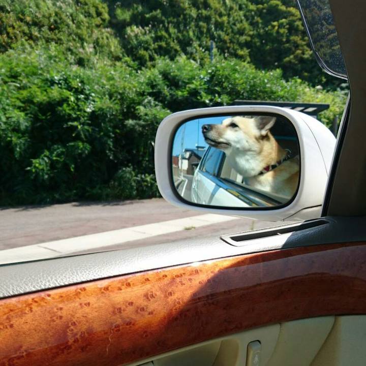 Ca77bf93 f545 4224 9c35 445b3f8def88