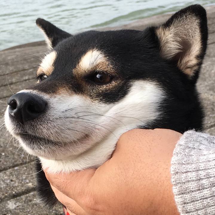 Ca780f62 1e2c 4de3 9622 1f2f5f7296ea