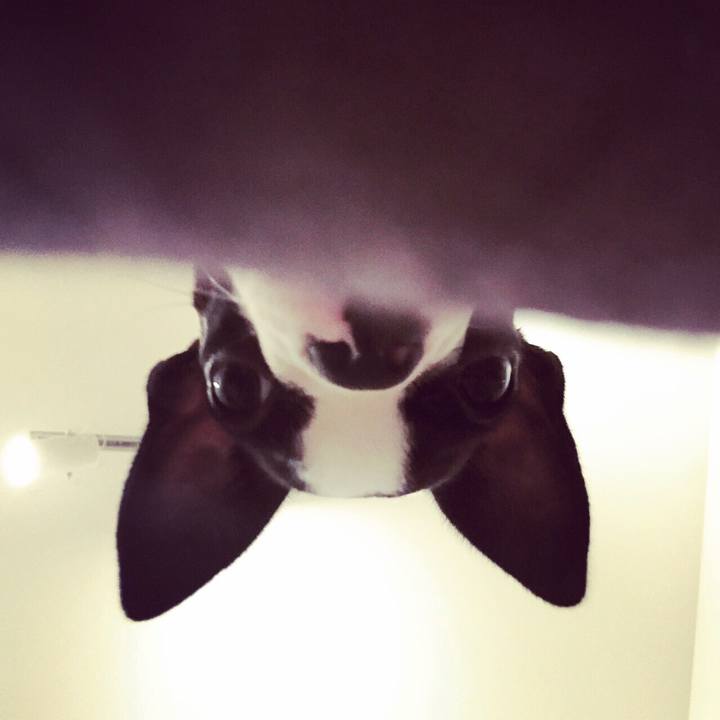 Ca782de7 cae8 42ae 828a 3831edb33934