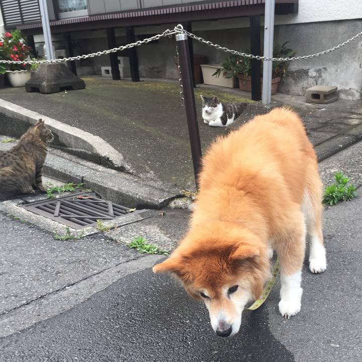 Ca787c03 c6ca 49bf 8d65 cddfa7410f8a