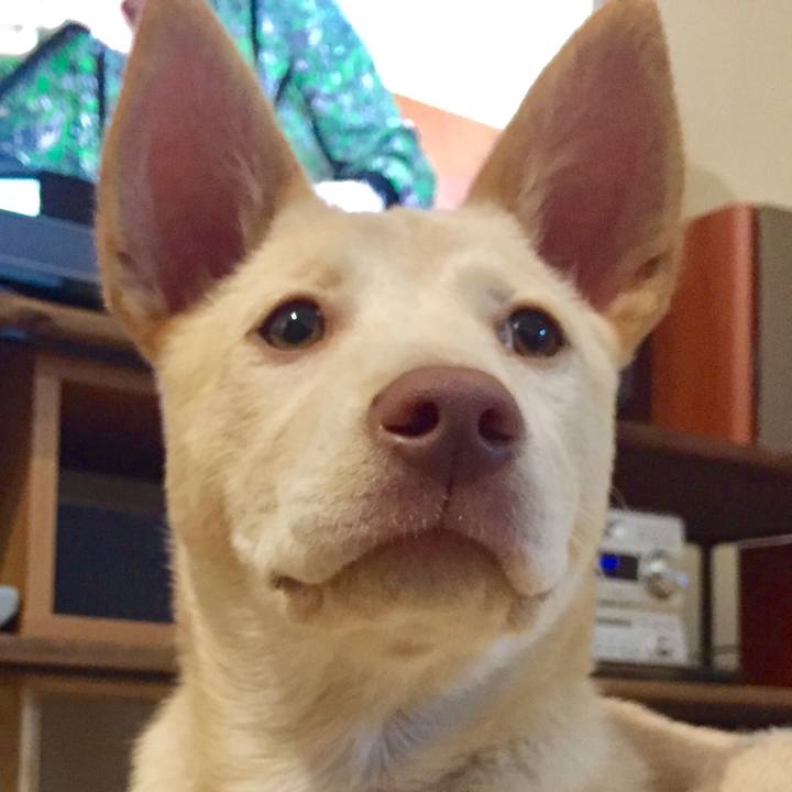 Ca79724e f42c 426a ab65 798874fdbd46