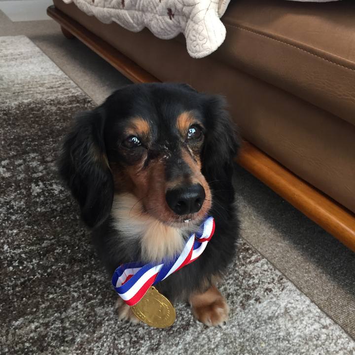 Ca799f57 fa58 4409 bca7 f9c71bed1324