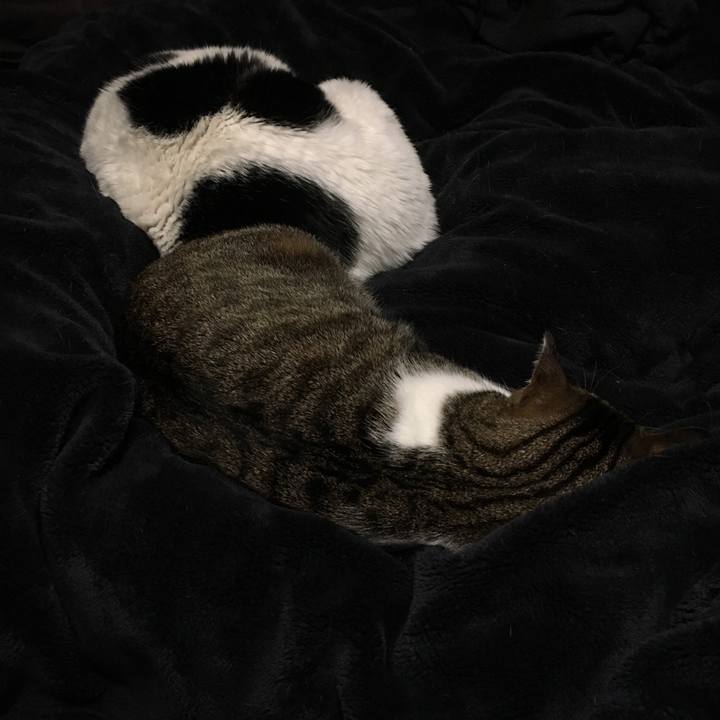 Ca7a2e15 1cc0 495e 9662 0d556f9fbddb