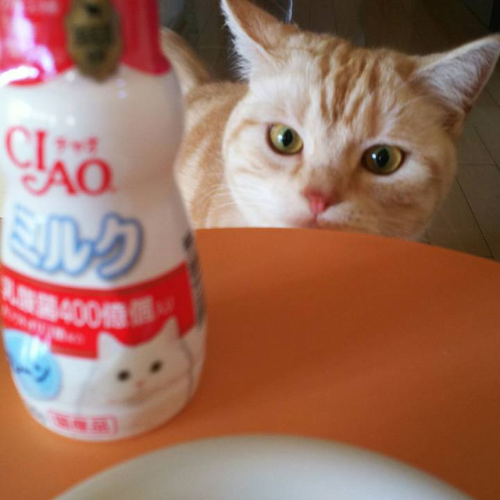 Ca7a3f1e 4d10 438e 8d73 5a53af8bbe36