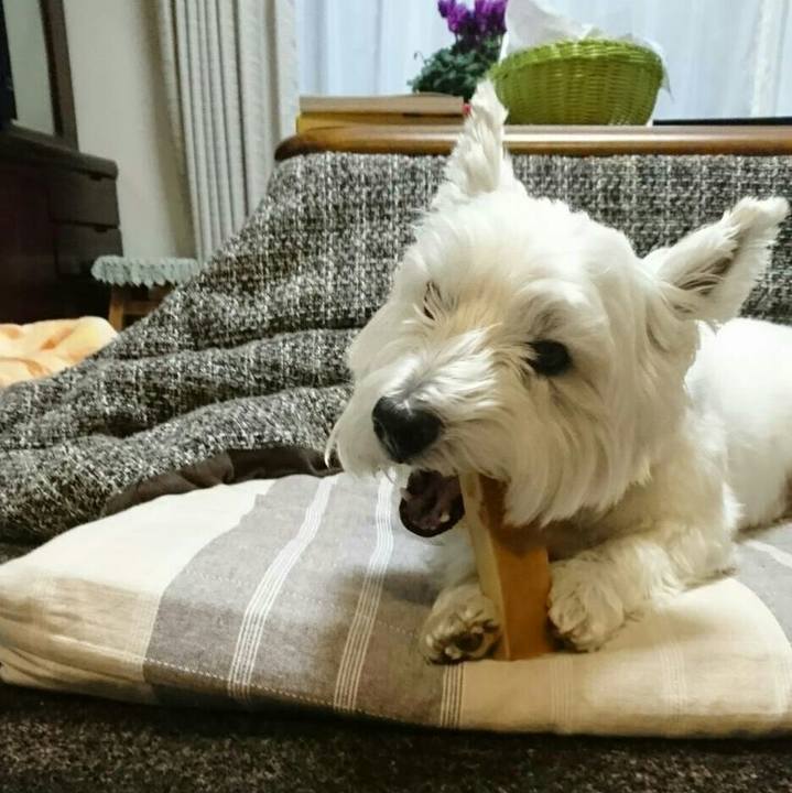 Ca7af390 64cc 4e2a 920c 0be50801d700