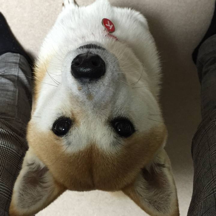 Ca7b1b00 b168 47f3 9825 be269a511168