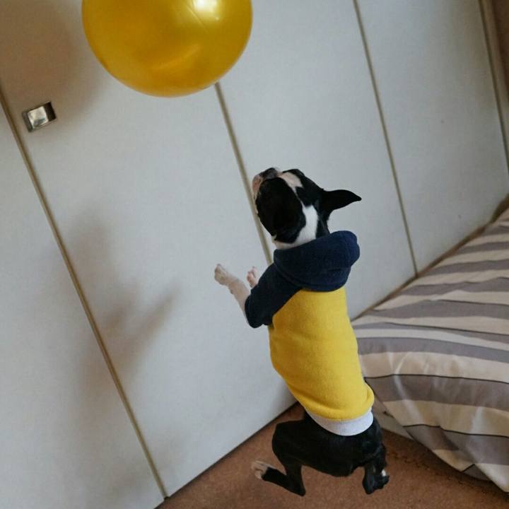 Ca7b384d 0049 4446 b4de f87fb891a0ac