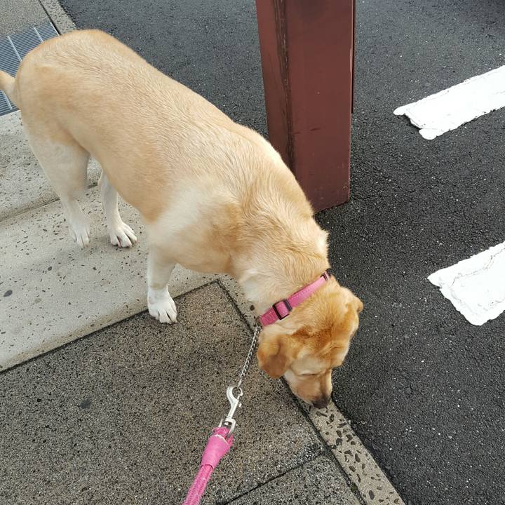 Ca7bc6ff 3b8f 4053 ab48 0a04338f1385