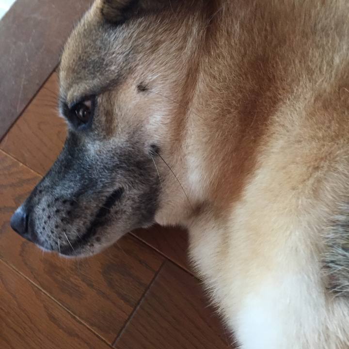 Ca7c23f5 9a35 478e 8575 3b887e6d6753