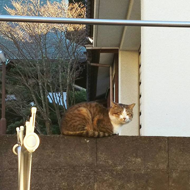 Ca7c3553 1b2c 4fde 9f2c c5731309f5ba