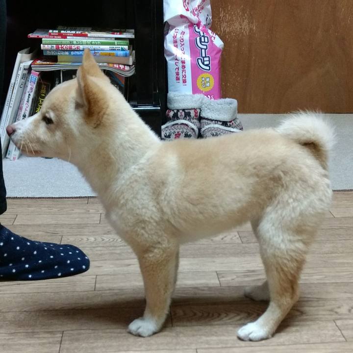 Ca7c5c4a c5e3 4899 82f2 7b745ad9fed9