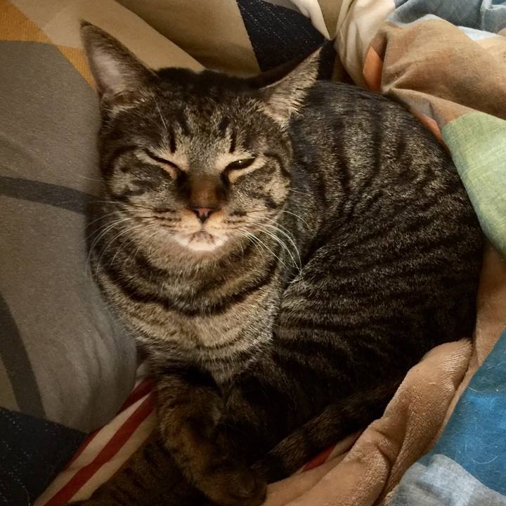 Ca7c834b ac37 4879 a7a4 47537d05e0f9