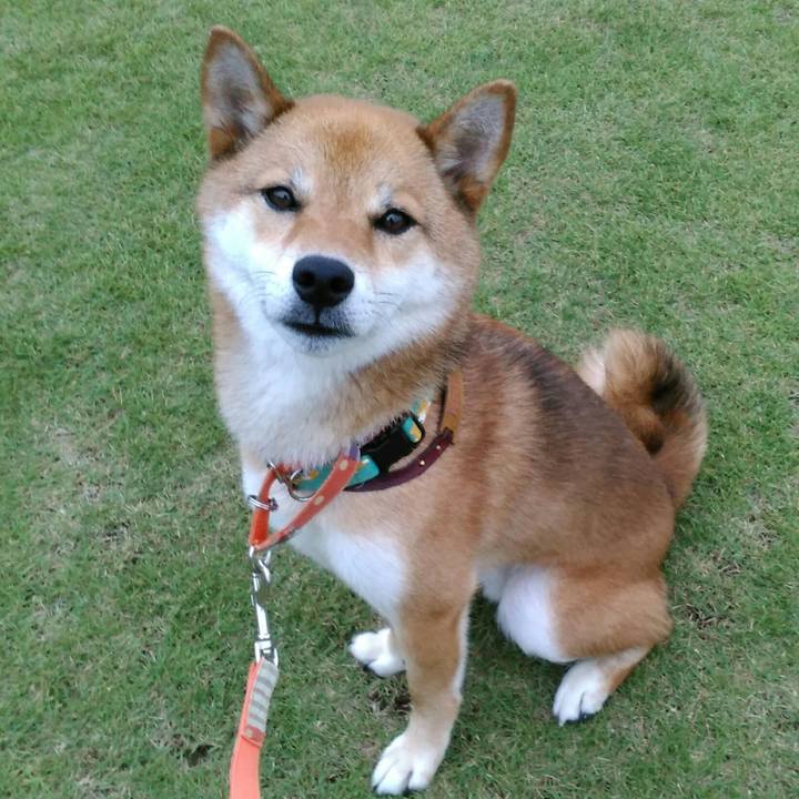 Ca7cf831 2f16 4845 a9fb 90010e65751b