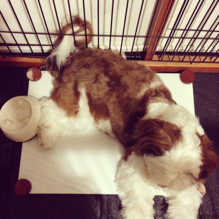 Ca7dd561 a6a7 433f bf85 d74b1470181c