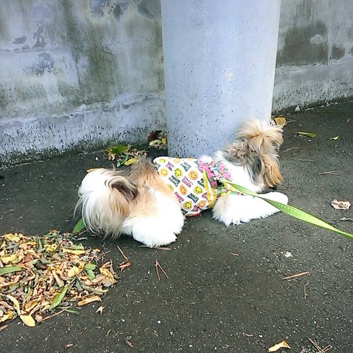 Ca7ddcfc ddf7 4f20 85b5 d8d99fbc8e44