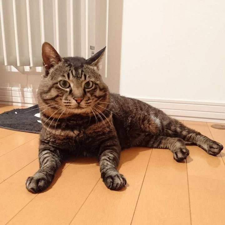 Ca7ddf8c f47a 4aa0 8943 860645120183