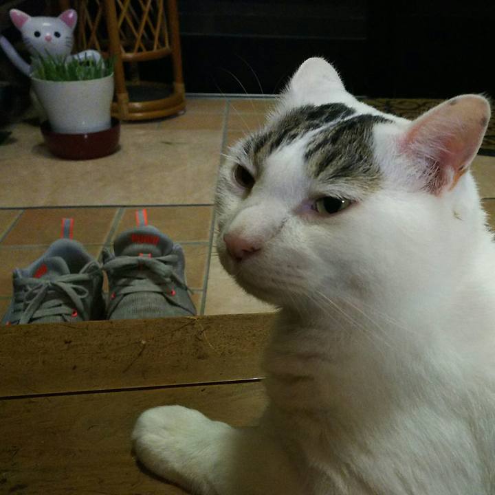 Ca7e1662 35cc 4113 9149 c7a88ef1c18f