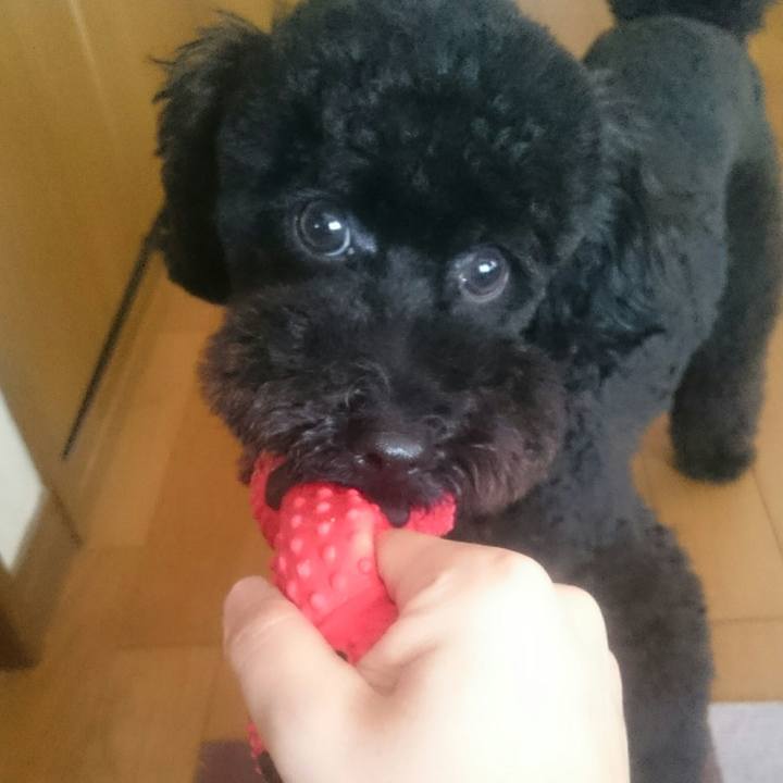 Ca7e791a 5f3e 425c a132 6e34ee9791e0