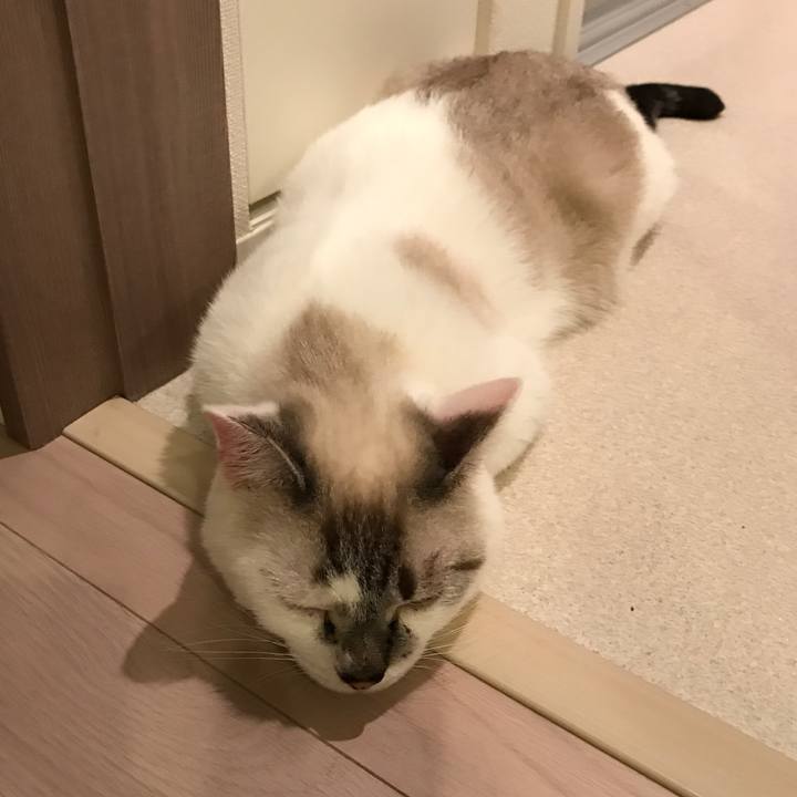 Ca7e9c81 3c0b 421f 831c 4c2579a2222f