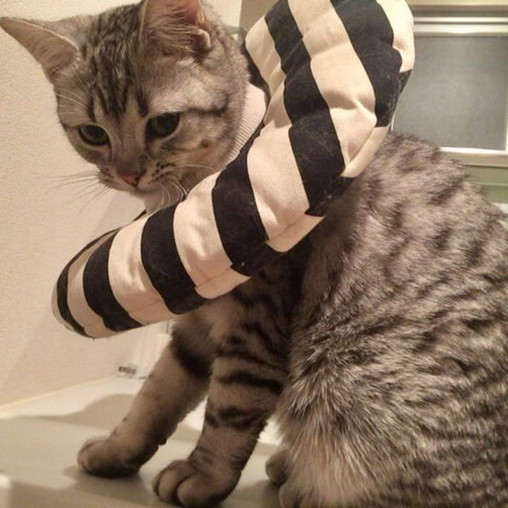 Ca7ef80c 3a40 41a4 8344 017ba05f6cdd