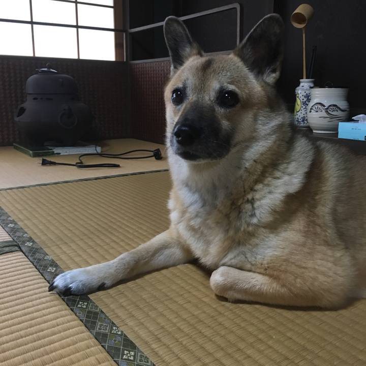 Ca7f25e9 7980 4364 b68f 8eca87726d3e