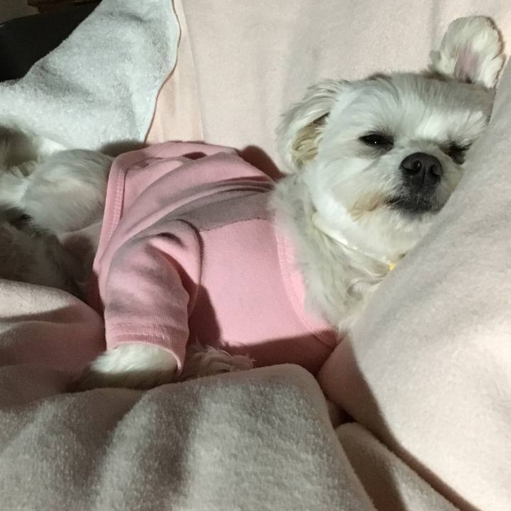 Ca7f4a1e f696 4c42 b391 cace5aa7824c