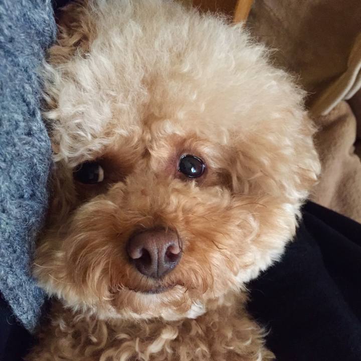 Ca7f6f5d fb9f 46a8 8046 8680cdd597c3