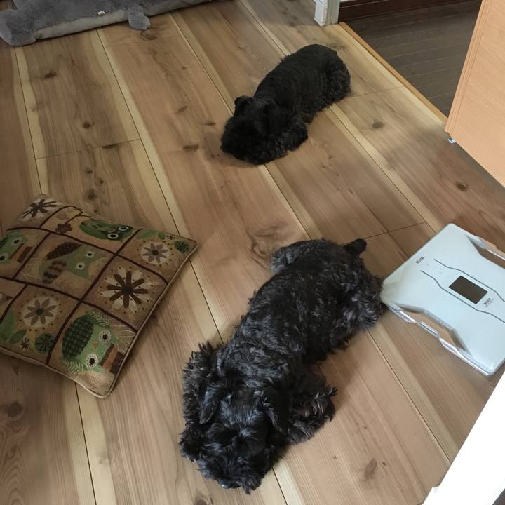 Ca7f9fd5 c129 4b0c 8965 4bf677fb77cc