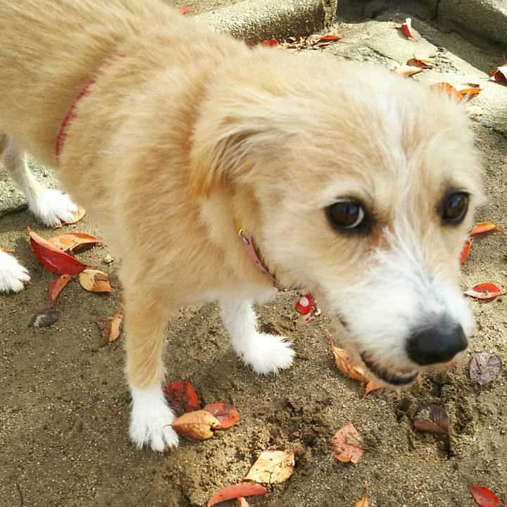 Ca7fb64f f8ad 4b43 b374 5639cdd0a77a