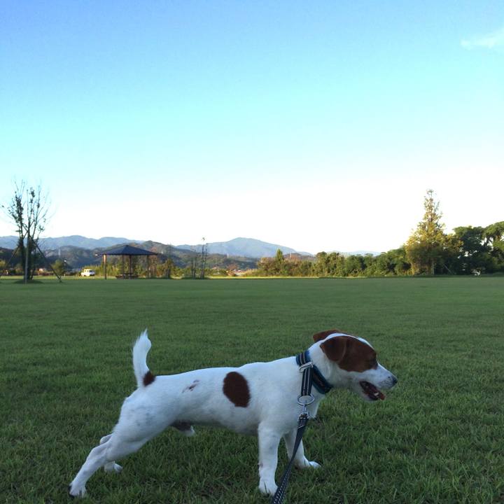 Ca7fde5d e60f 488a acf4 4c72a60dbf3e