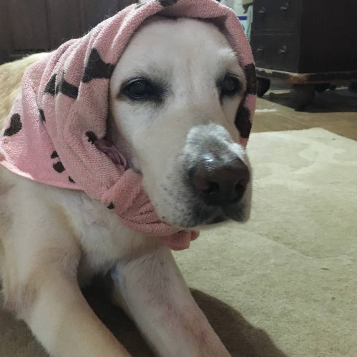 Ca7ff03c f9db 4b53 be8c 6854519bee90