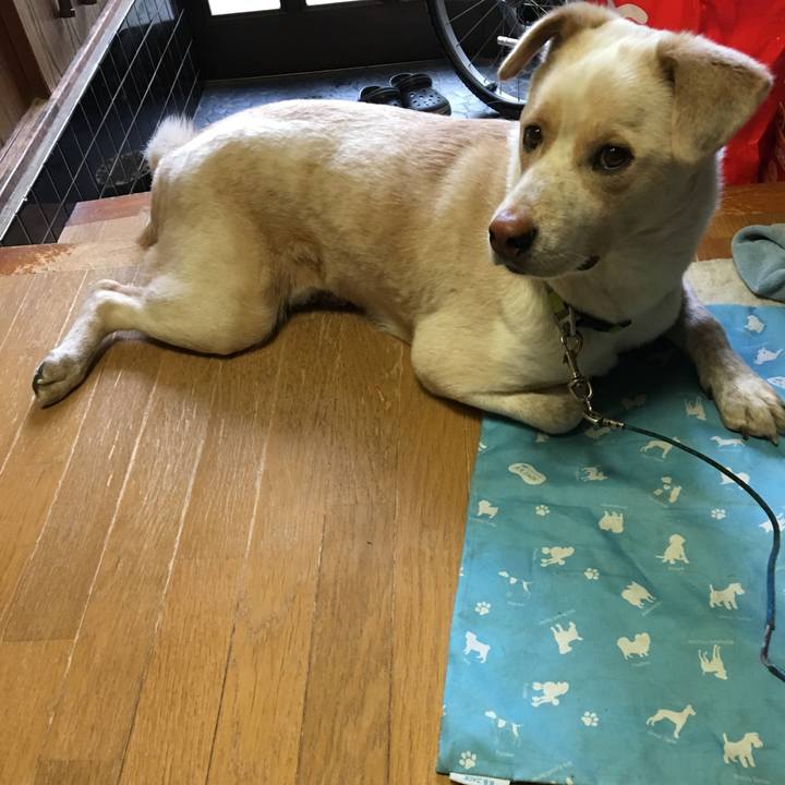 Ca803a42 558b 490a b939 817038d86a50