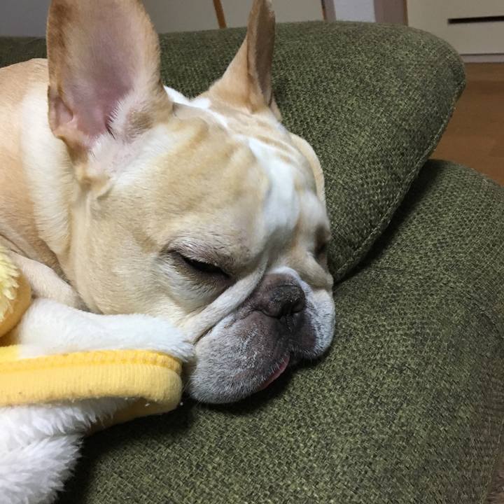 Ca8068d0 9cf2 4152 af8b 004c0f1728d1