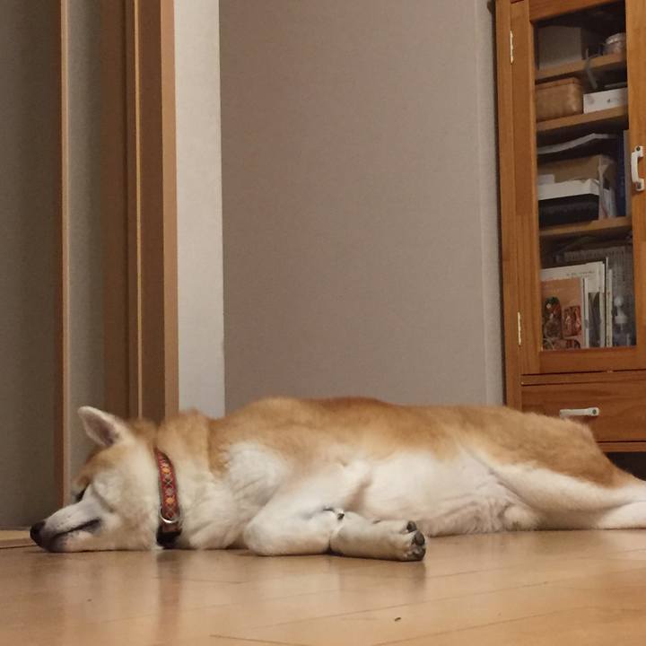 Ca80ea8e 079c 4de5 adea eaa58eb873e1