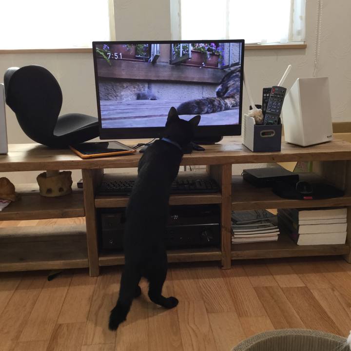 Ca81019c 810d 498f bab3 6b0c630ce22a