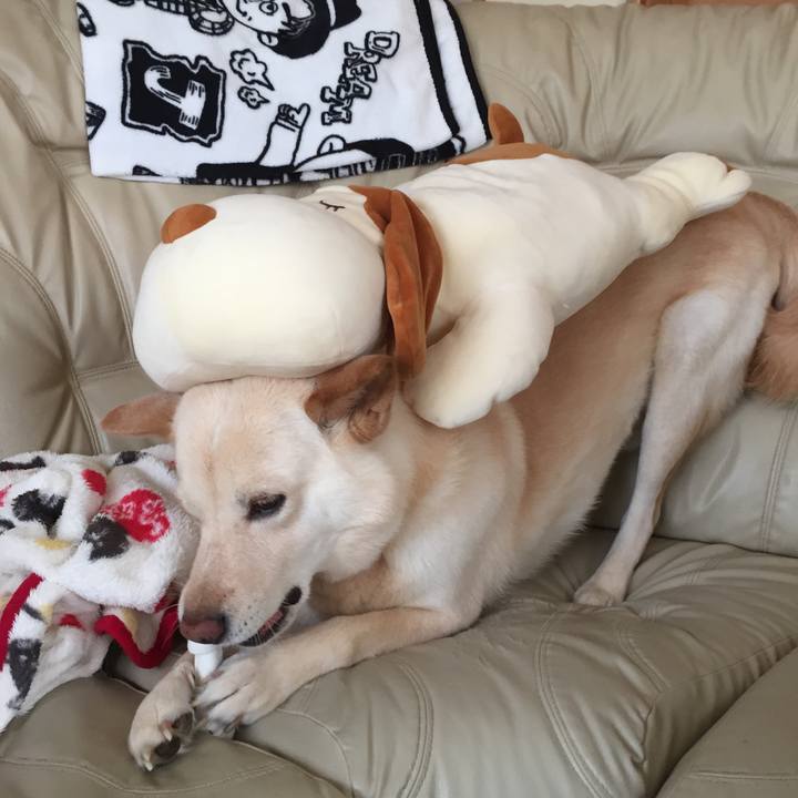 Ca8130b5 e048 49ee 8b87 3e9ac5cc7e8c