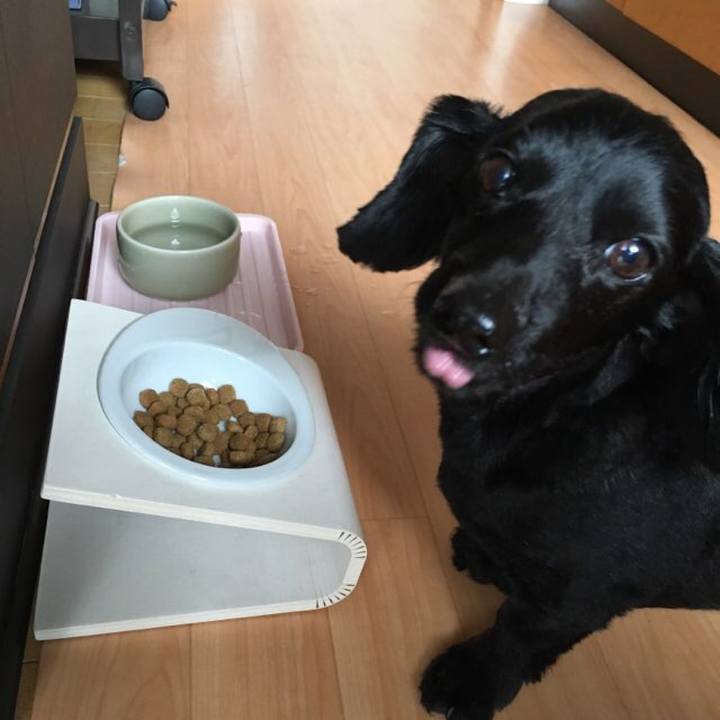 Ca82f04b 88c8 43fc a673 77f122f1caa9