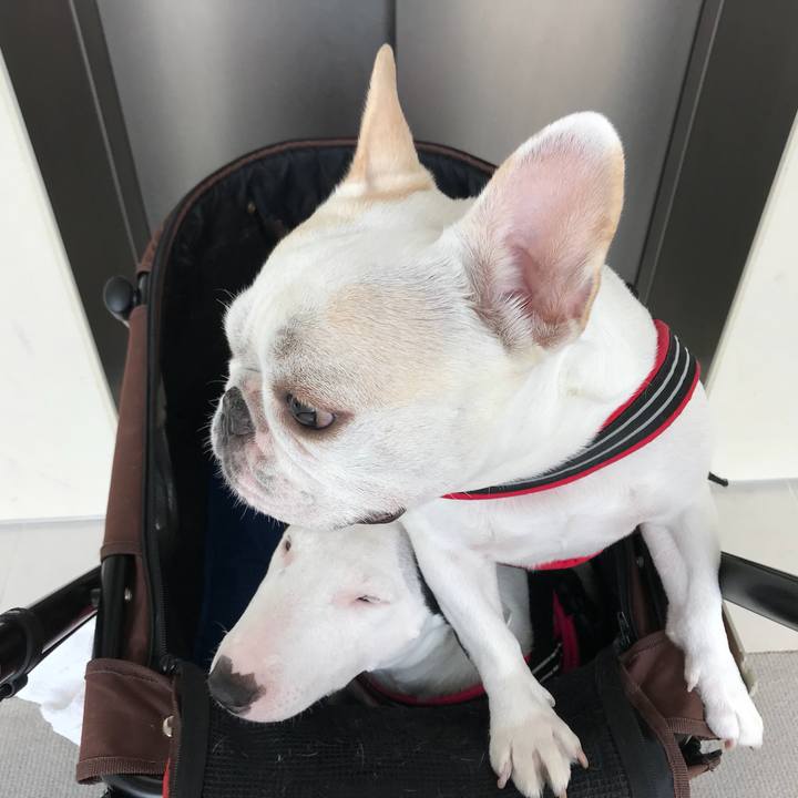 Ca82f4b8 0b61 48bb 8905 f41a9016196e