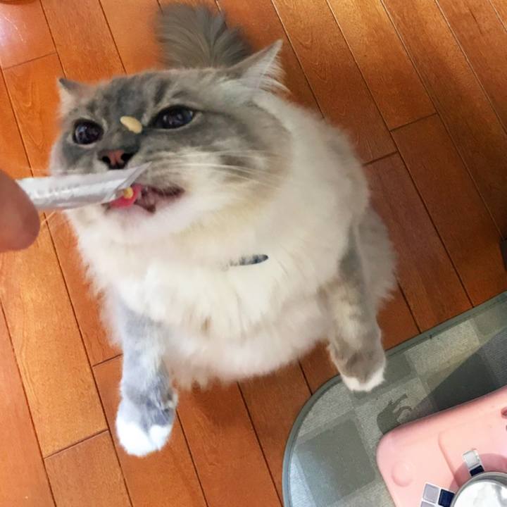 Ca83192b 832b 427e 95b7 f11beae08efd