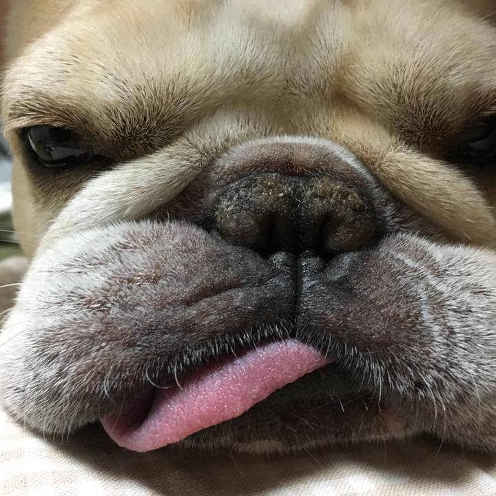 Ca832e9a cad3 47bf 99c7 d2ae867a60b1