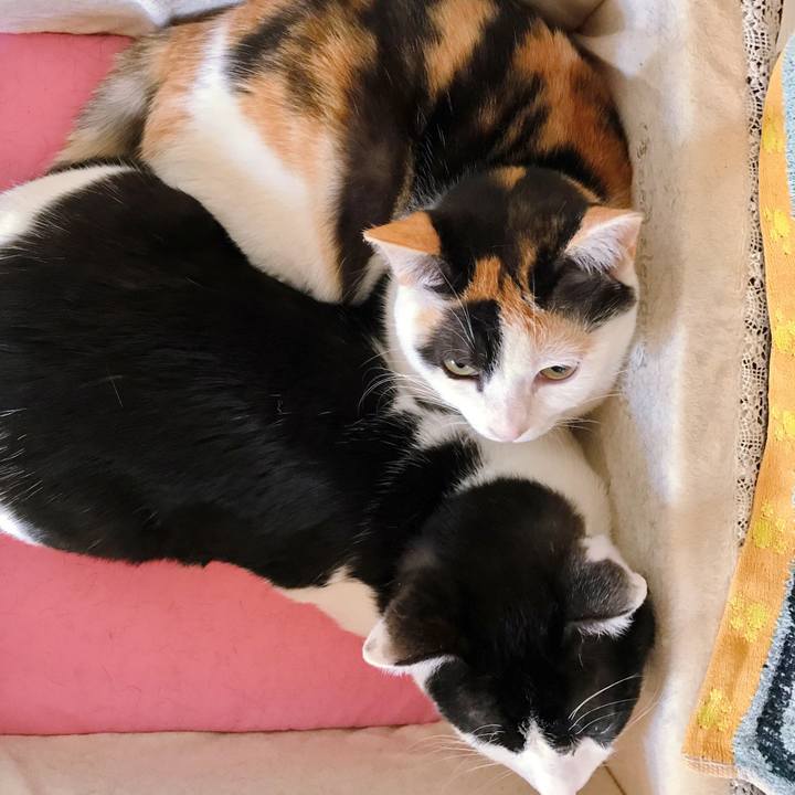 Ca83691f 918e 4451 b96f 21ca9d355674