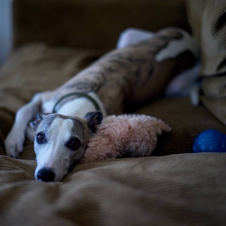 Ca8473aa c7b0 4a98 8e01 54e23c7e9227