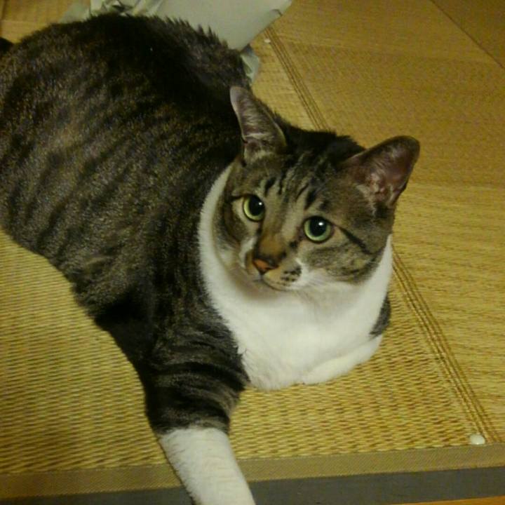 Ca84913f 612b 407b 8b44 24171008f0c6