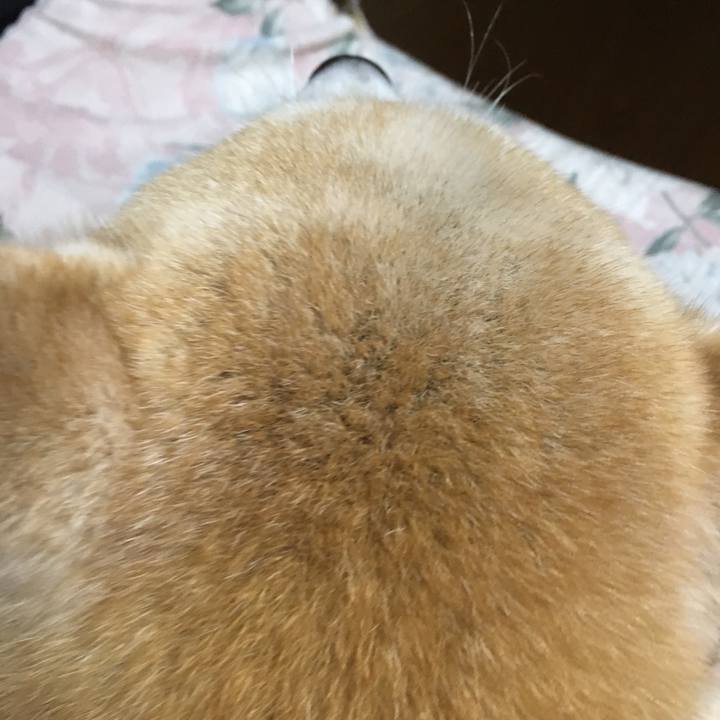 Ca84df6c 13ed 4436 b8e8 ed9f3464f9ce