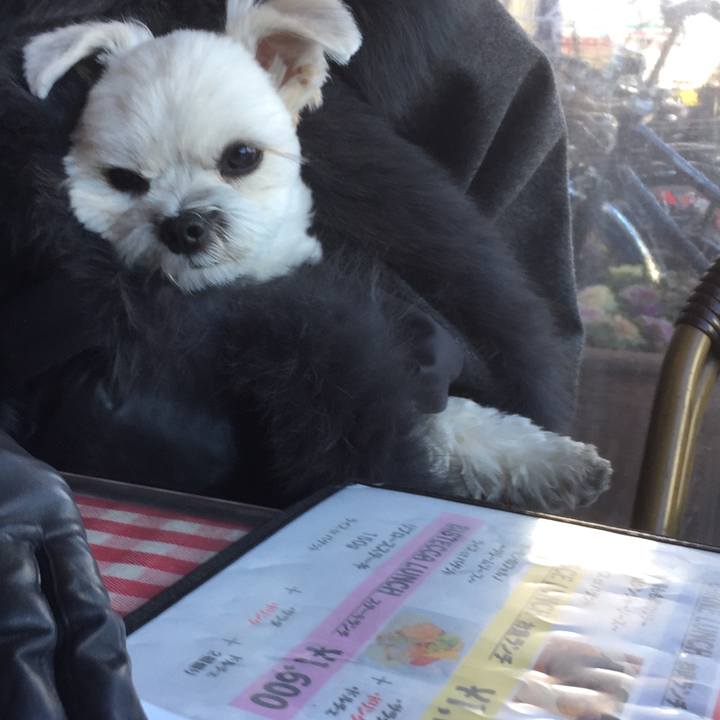 Ca8603ca e225 4c81 85ab 87fbb6b90d06