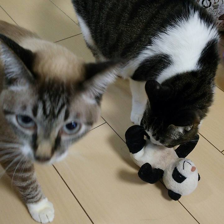 Ca8677d1 80eb 4fea 9798 cf1cab5969ae