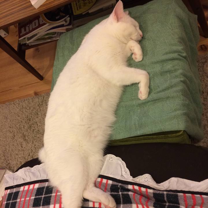 Ca869a40 0ab7 4ef7 9e98 d4c3b6e7dc98