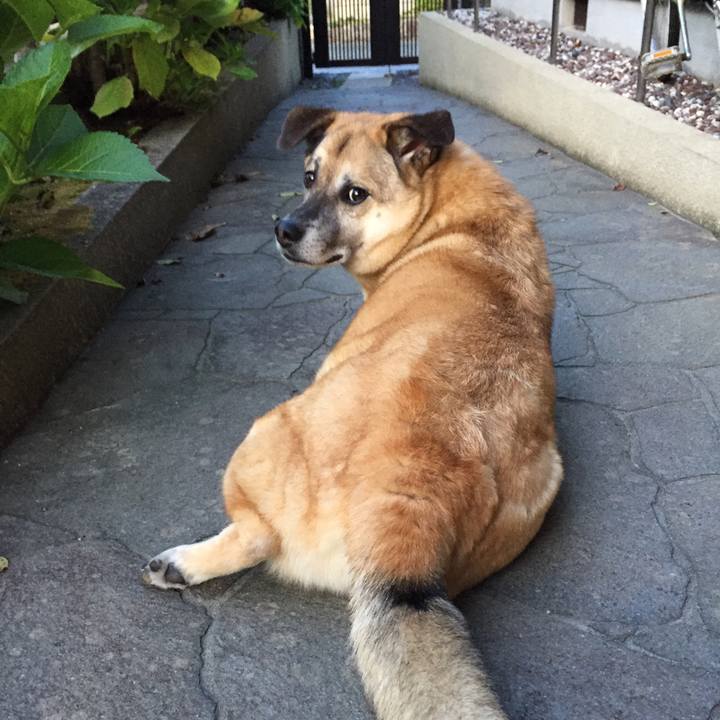 Ca87b787 6896 473c 8197 14735baac06f